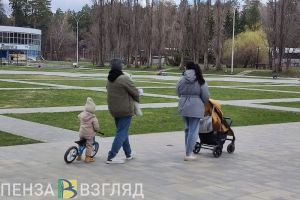 Пензенцам рассказали, когда маткапитал вырастет до 1 миллиона рублей