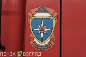 В Пензе 5 человек были спасены при пожаре в доме на проспекте Строителей