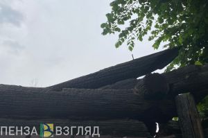 В Пензенской области заживо сожгли человека