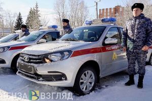 Пензенская Росгвардия разнимала ссору брата и сестры, переросшую в дебош