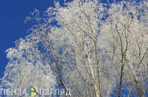 В последнюю неделю ноября пензенцев ждет солнечная и снежная погода