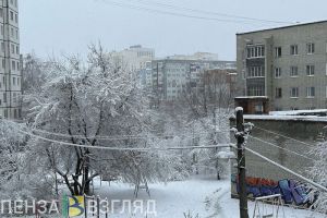 Ночью 27 ноября в Пензенской области может похолодать до -11 градусов