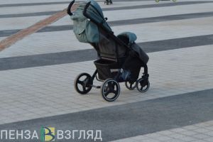 Жительница Пензенского района обворовывала магазин с помощью детской коляски