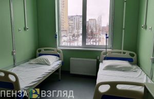 Пензенская область заняла 3 место в России по смертности от ковида за неделю