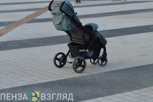 Пензенский суд вынес жительнице Псковской области приговор за выдуманных дочерей