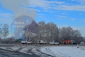 В Бессоновском районе произошел пожар