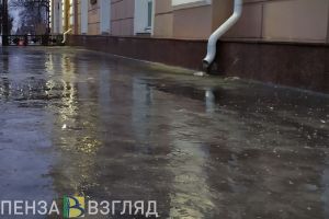 Денис Соболев раскритиковал работу пензенских коммунальных служб