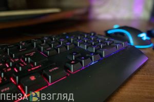 Жители Пензенской области в 2024 году стали чаще искать помощь психологов онлайн