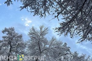 Снег, дождь и -6 градусов: прогноз погоды в Пензенской области на 30 ноября
