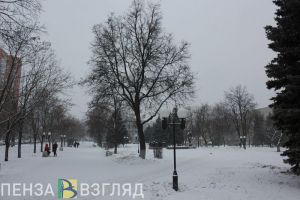 В Пензенской области зима начнется с тумана и мокрого снега