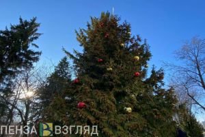 Новогоднюю иллюминацию в Пензе включат 15 декабря