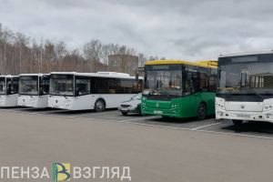 Власти планируют запустить дополнительный общественный транспорт в «Лугометрию»