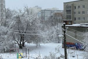 Заморозки до -7 градусов и снег ожидаются 4 декабря в Пензенской области