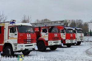 В 2024 году в Пензенской области из огня спасли 108 человек