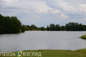 В двух районах Пензенской области власти незаконно передали в аренду пруды
