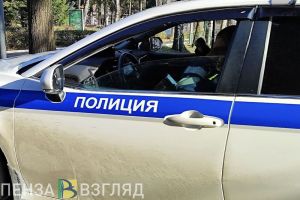 4 декабря в Пензенской области дорожная полиция проследит за пешеходами