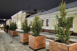 Ель с изделиями пензенских мастеров украсит новогодний Киров