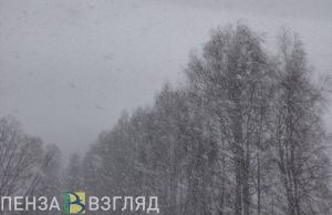 5 декабря пензенцам обещают снежную и холодную погоду