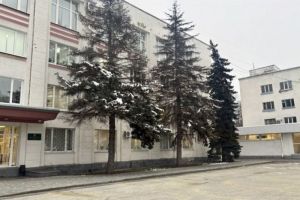 Усыхающие ели у здания администрации Заречного спилят