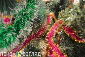 В Пензе на Соборной площади до 15 декабря установят новогоднюю ель