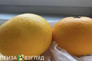 С прилавков пензенских магазинов пропадут популярные абхазские мандарины