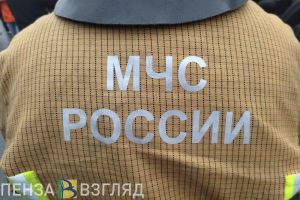 В Пензе спасатели эвакуировали из горящего дома 5 человек