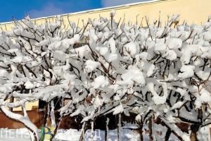 В Пензенской области в понедельник ожидается 10-градусный мороз