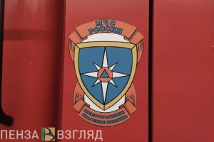 За неделю в пожарах в Пензенской области погибли 2 человека