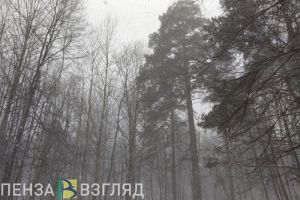 Пензенскую область накроет циклонический вихрь