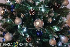 В Пензе открылись первые елочные базары