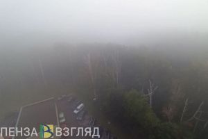 Жителей Пензенской области предупреждают о тумане и снеге 11 декабря