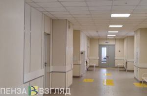 В Пензенской области за неделю от ковида скончались три человека