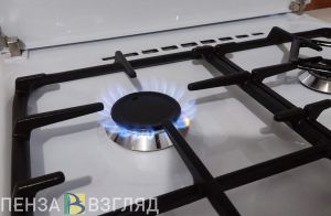 Мельниченко рассказал о планах по газификации Пензенской области на 2025 год