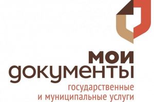 В 2024 году МФЦ Пензенской области оказали более 1,4 миллиона услуг