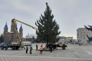 На центральной площади Сердобска установили новогоднюю елку