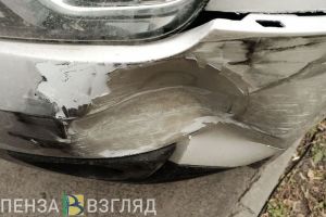На трассе в Пензенской области в ДТП погиб лось