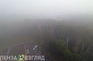 В ближайшие 3 часа Пензенскую область накроет сильный туман