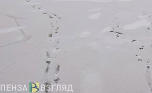 Следователи устанавливают обстоятельства смерти рыбака в Пензенском районе