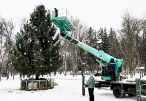 В Пензе на Соборной площади установили новогоднюю елку