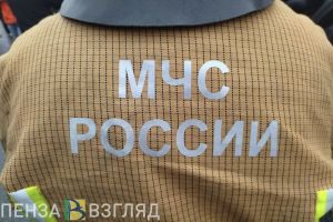 В Пензенской области за прошедшие сутки огнеборцы потушили 3 пожара