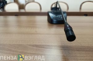 В Пензенской области создают проектный офис для работы по профилактике абортов