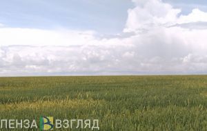 В Пензенской области 4 участка земли незаконно использовались предпринимателями