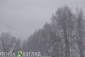 В Пензенской области на выходных ожидаются метели и сильный ветер
