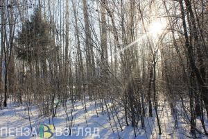 В Пензенской области 14 декабря температура опустится до -13 градусов