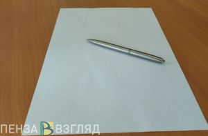 Журналист «Пенза-Взгляд» Юлия Акимова стала лауреатом премии губернатора