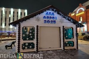 В Пензе прошло шествие Дедов Морозов (0+)