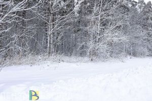 17 декабря в Пензе и области ожидается метель
