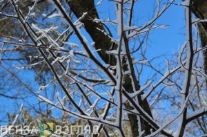 Жителей Пензенской области всю неделю ждут «погодные качели»