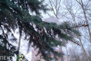 Пензенская область оказалась в числе «хорошистов» экорейтинга регионов России