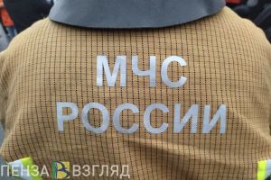 За сутки огнеборцы потушили 5 пожаров в Пензенской области